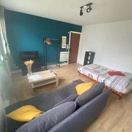 Dijon - Grand Studio Proche Parc Darcy & Gare Ngoại thất bức ảnh