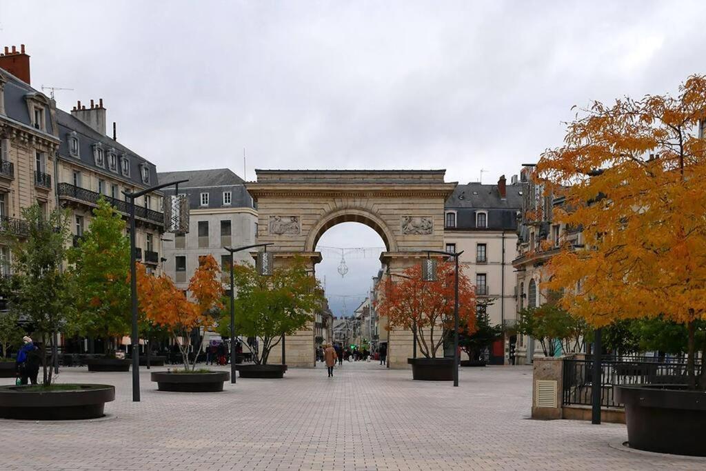 Dijon - Grand Studio Proche Parc Darcy & Gare Ngoại thất bức ảnh