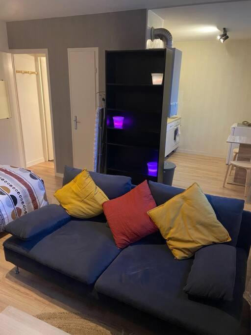 Dijon - Grand Studio Proche Parc Darcy & Gare Ngoại thất bức ảnh
